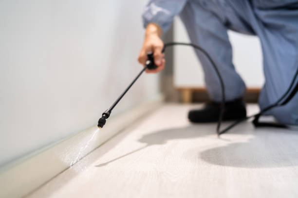 Professional exterminator conducting IPM assessment in Cochituate